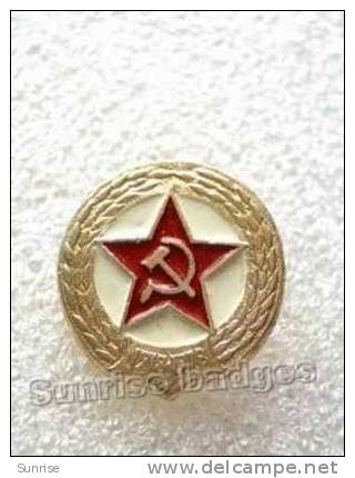 Celebration Victory Day (9 May). Anniversary Of Victory. / Old Soviet Badge USSR _63_c3189 - Personnes Célèbres