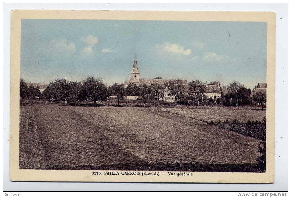 Q21 - BAILLY-CARROIS - Vue Générale - Baillycarrois