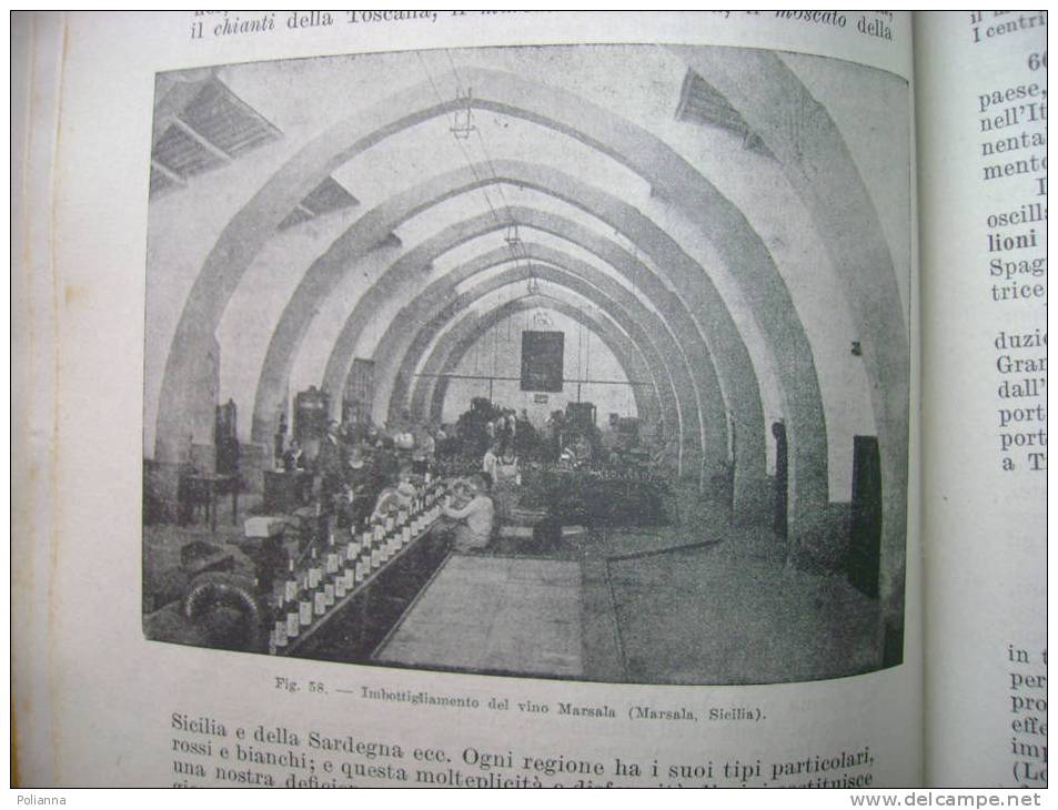 PL/15 Almagià NOZIONI ELEMENTARI DI GEOGRAFIA Perrella 1947/Società Vinicola Florio (Marsala)/Bagnoli - Histoire, Philosophie Et Géographie