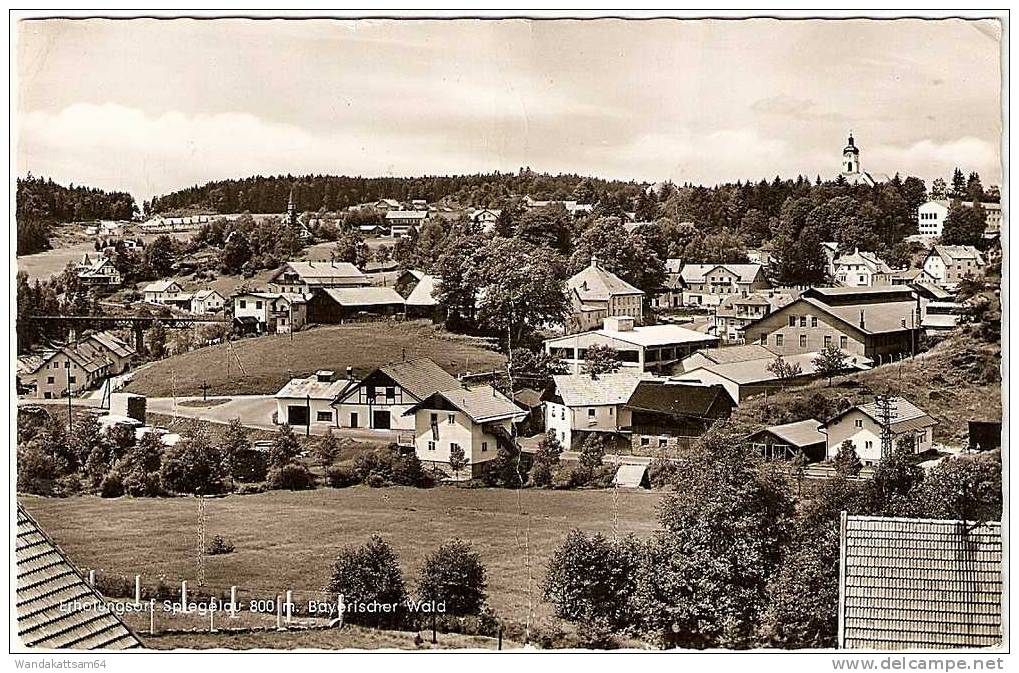 AK Erholungsort Spiegelau 800 M. Bayerischer Wald 03. 8.61.-20 SPIEGELAU B Nach Schwenningen A. N. Mit 1 X 10 PF - Freyung