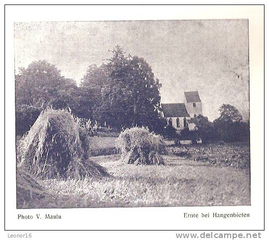 * ELSASS LAND - LOTHRINGER HEIMAT 1936 N°8 *(ALSACE LORRAINE) - MENSUEL DE 30 PAGES Avec PHOTOS Et TEXTES(Voir 14SCANS) - Alsace