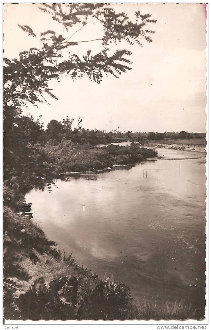 CHAMPIGNY SUR YONNE .. BORDS DE L'YONNE - Champigny