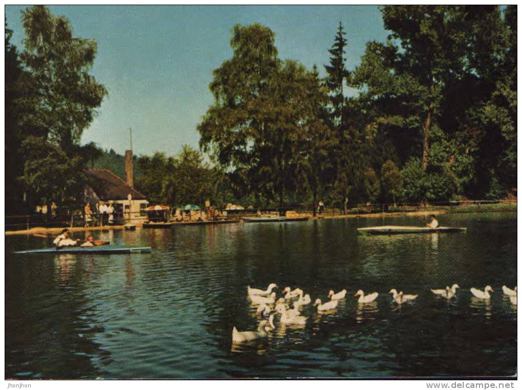 Allemagne-Carte Postale Hors-circulation-Pirmasens-Pfalz-Eisweiher - Pirmasens