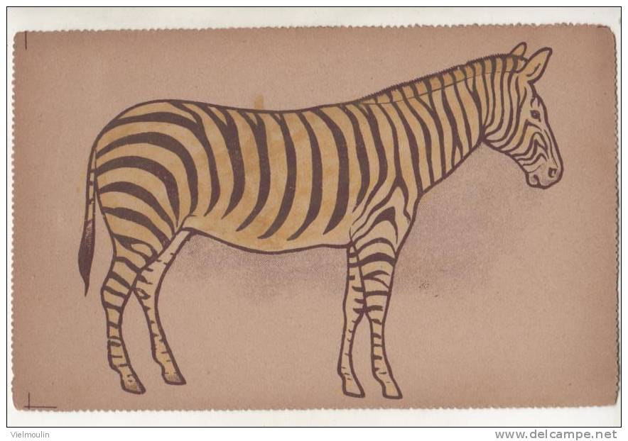 CARTE POSTALE RAPHAEL TUCK A COLORIER ZEBRE BELLE CARTE - Tuck, Raphael