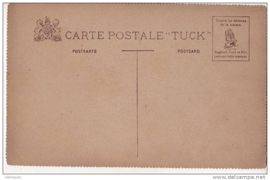 CARTE POSTALE RAPHAEL TUCK A COLORIER ZEBRE BELLE CARTE - Tuck, Raphael