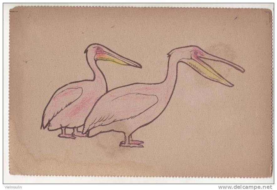 CARTE POSTALE RAPHAEL TUCK A COLORIER PELICANS BELLE CARTE - Tuck, Raphael