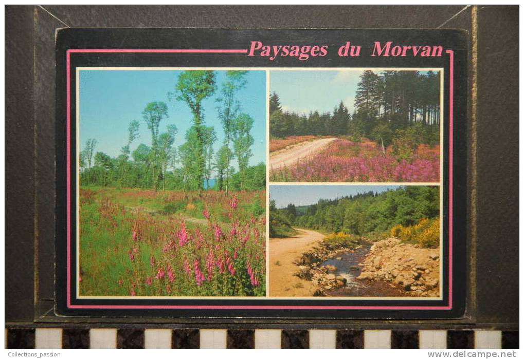 BOURGOGNE PAYSAGES DU MORVAN - Bourgogne