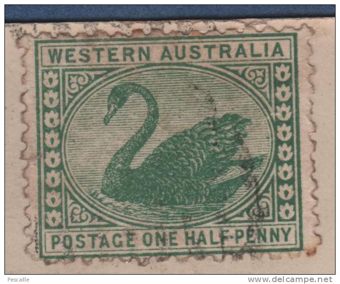 CARTE PHOTO FLEURS DANS UN VASE - 1912 - CIRCULEE STAMP WESTERN AUSTRALIA CYGNE SWAN POSTAGE ONE HALF-PENNY VERT - Briefe U. Dokumente