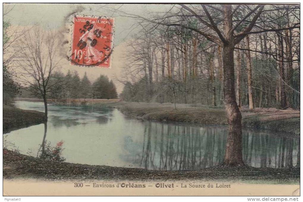 Cp , 45 , ORLÉANS , Environs , Olivet , La Source Du Loiret - Orleans