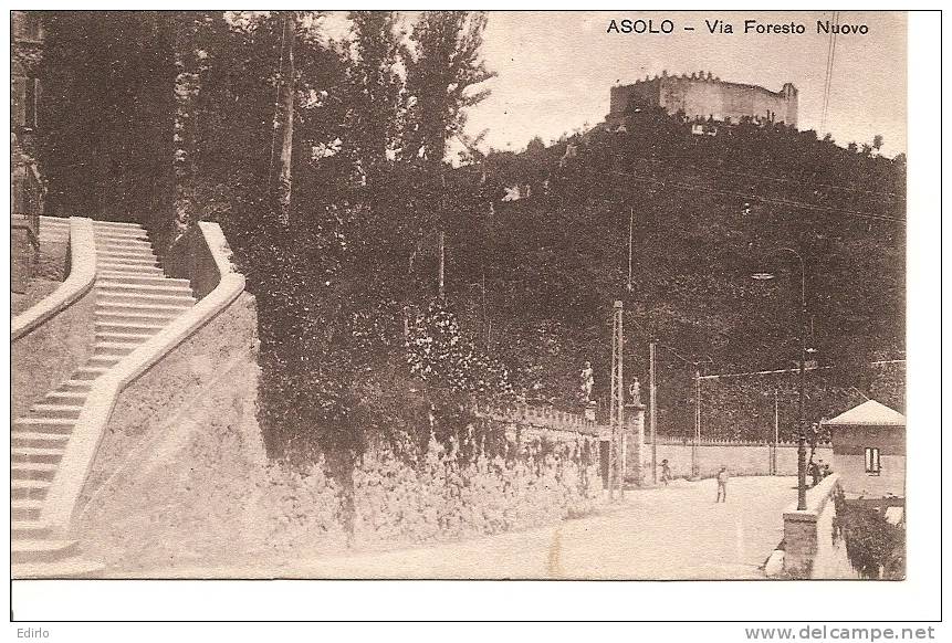 ASOLO Via Foresto Nuovo écrite 1917 TB - Altri & Non Classificati