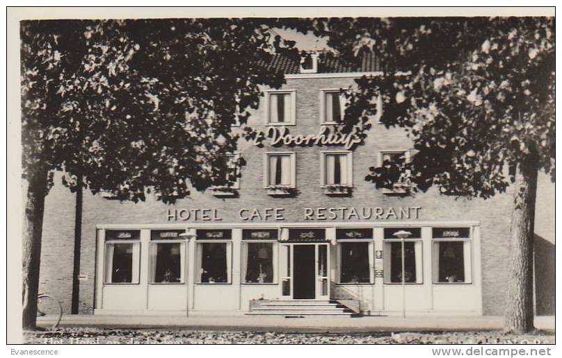 EMMELOORD / HET HOTEL OP DE BODEM VAN DE ZEE  HOTEL CAFE  //  REF18045 - Emmeloord