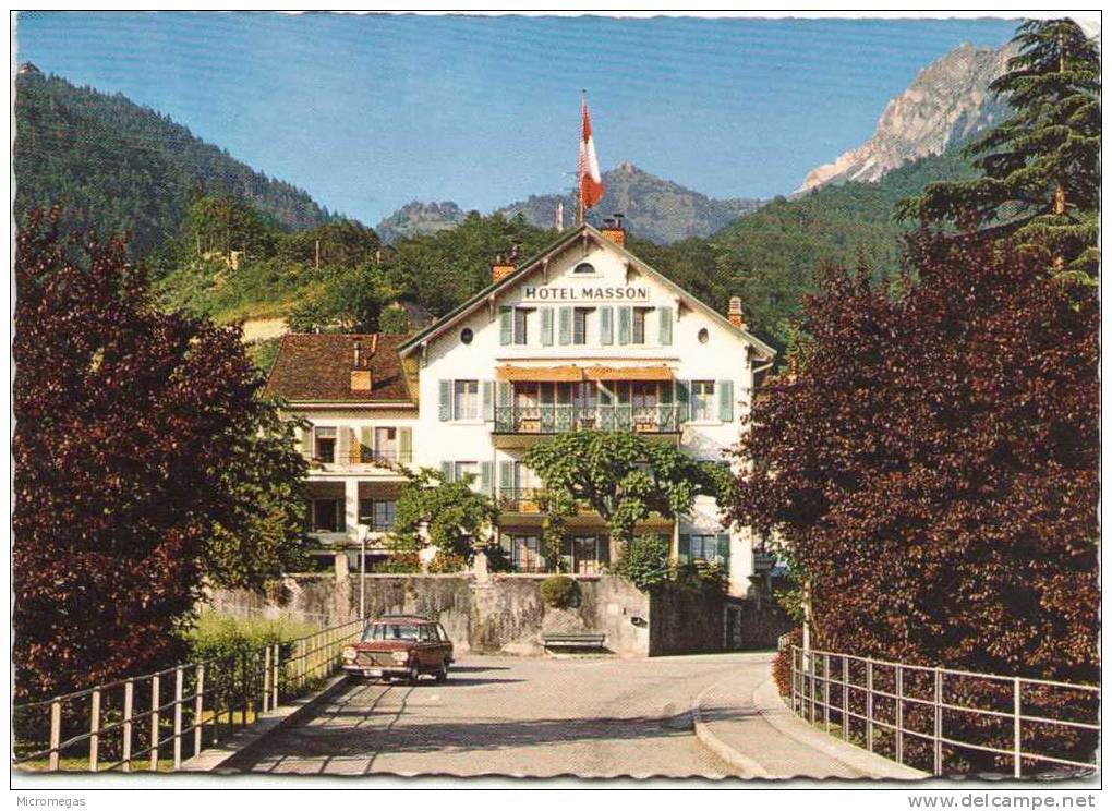 Hôtel Masson - VEYTAUX-MONTREUX - Parc Privé, Tranquillité - Veytaux