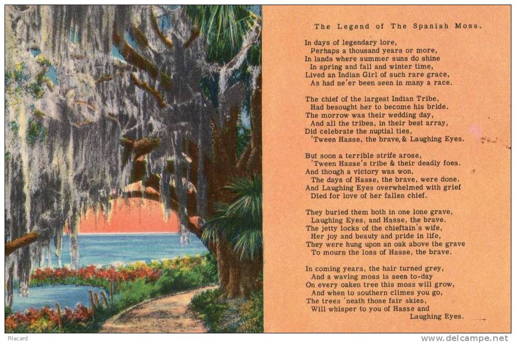 11981  Stati  Uniti  Florida,  Largo,  The Legend Of The  Spanish  Moss.  NV - Altri & Non Classificati