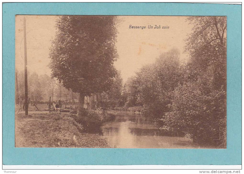 BASSENGE  -  Un  Joli  Coin   -  BELLE CARTE   - - Bassenge