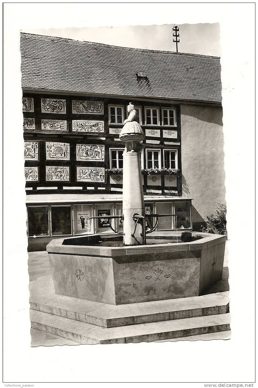 Cp, Allemagne, Alsfeld, Schwalmbrunnen - Alsfeld