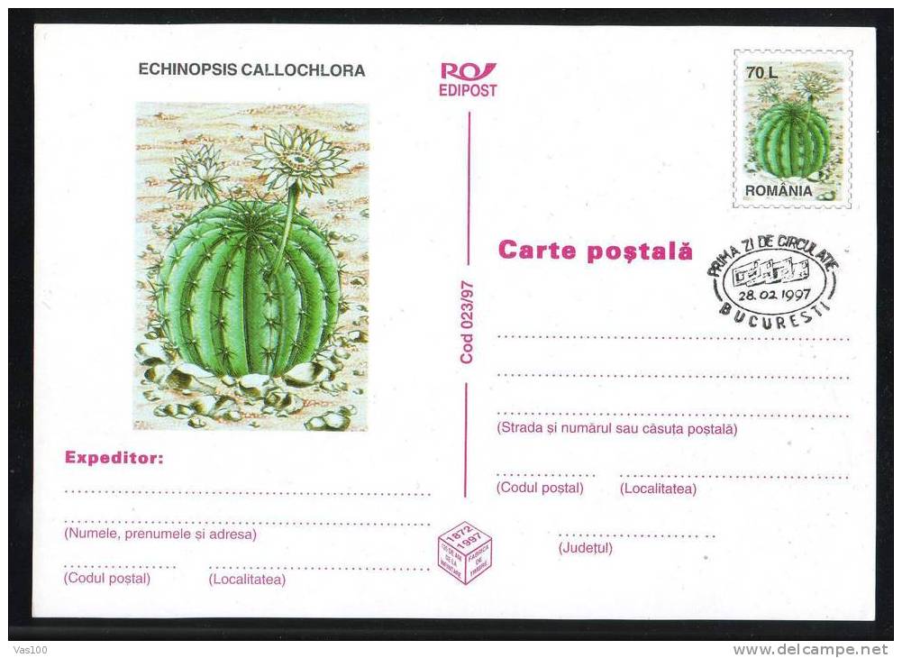 ROMANIA 1997 STP FDC Cancell. Cactusses,cactus.(B) - Sukkulenten