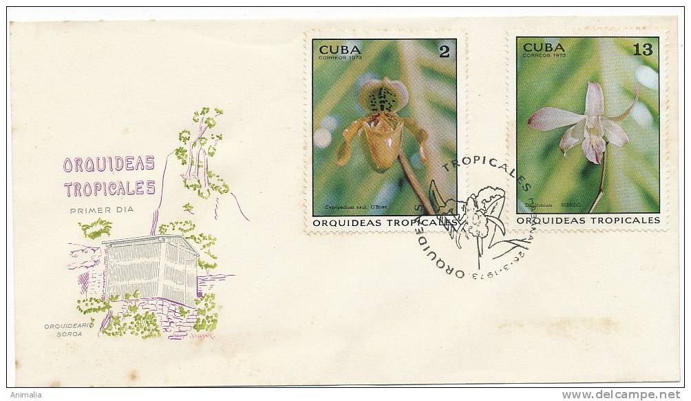 Enveloppe 1er Jour FD Cover Cuba 1973 Orquideas Orchids Orquidees Lot De 3 Set Of 3 - Autres & Non Classés