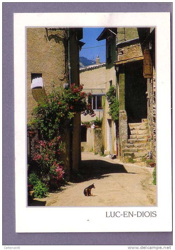 26 - Luc En Diois - Vieille Rue (chien) - Luc-en-Diois