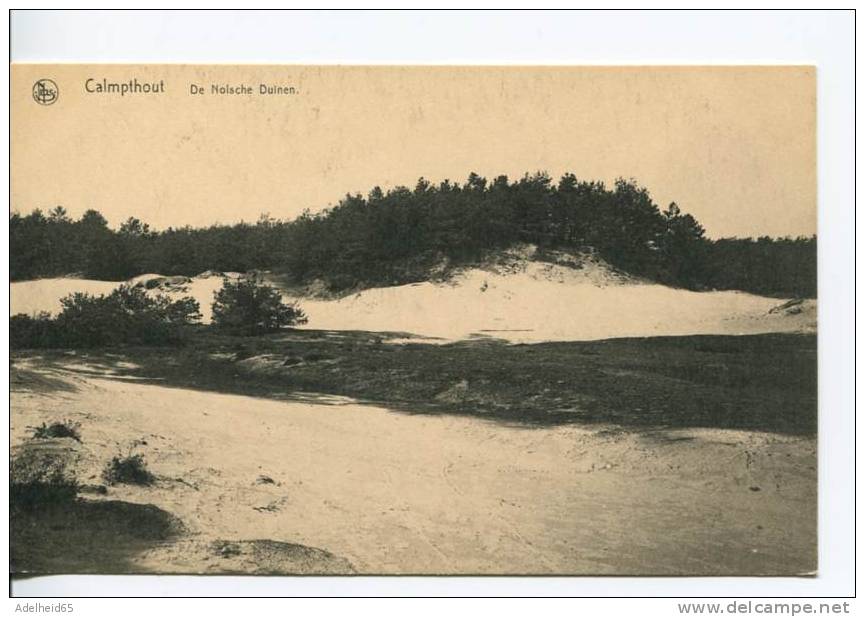 Calmpthout Kalmthout Heide De Nolsche Duinen - Kalmthout