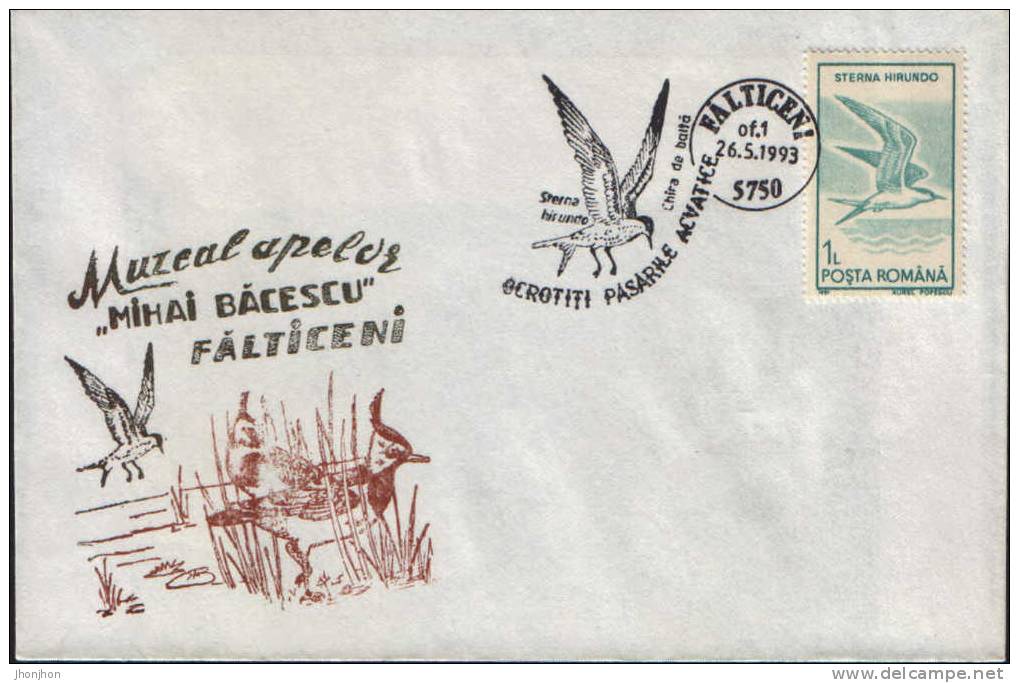 Romania-Envelope Occasionally 1993-Common Tern-Protected Aquatic Birds! - Seagulls