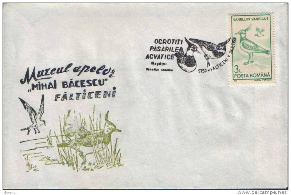 Romania-Envelope Occasionally 1993-Lapwing-Protected Aquatic Birds! - Seagulls