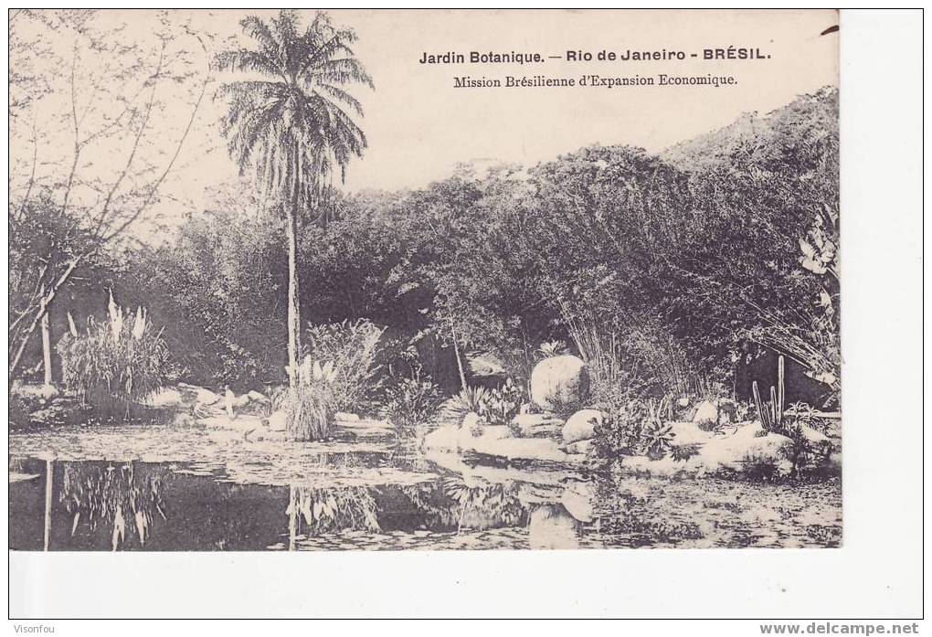 Brésil : Rio De Janeiro - Jardin Botanique ( Mission Brésilienne D´Expansion Economique ) - Missions