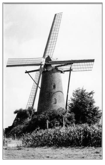 VINDERHOUTE (O.Vl.) - Molen/moulin - De "Van Vlaenderensmolen" In 1990 - Lovendegem