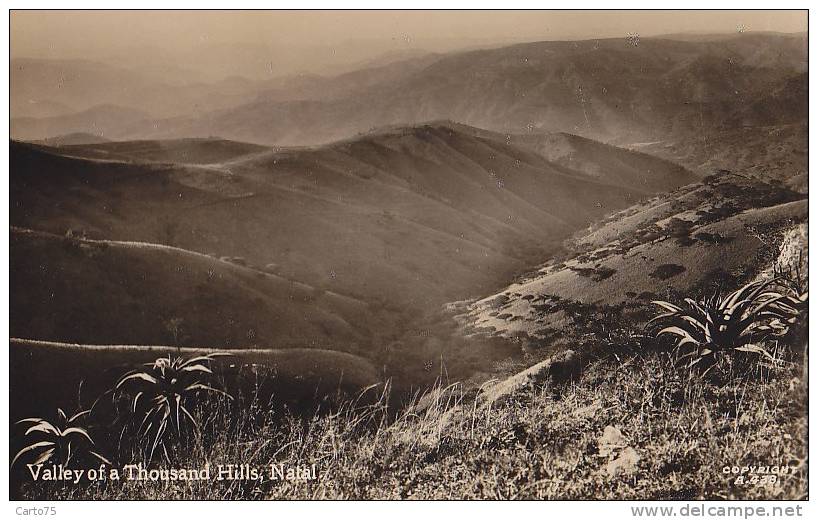 Afrique Du Sud -  Natal - Valley Of A Thousand Hills - Afrique Du Sud