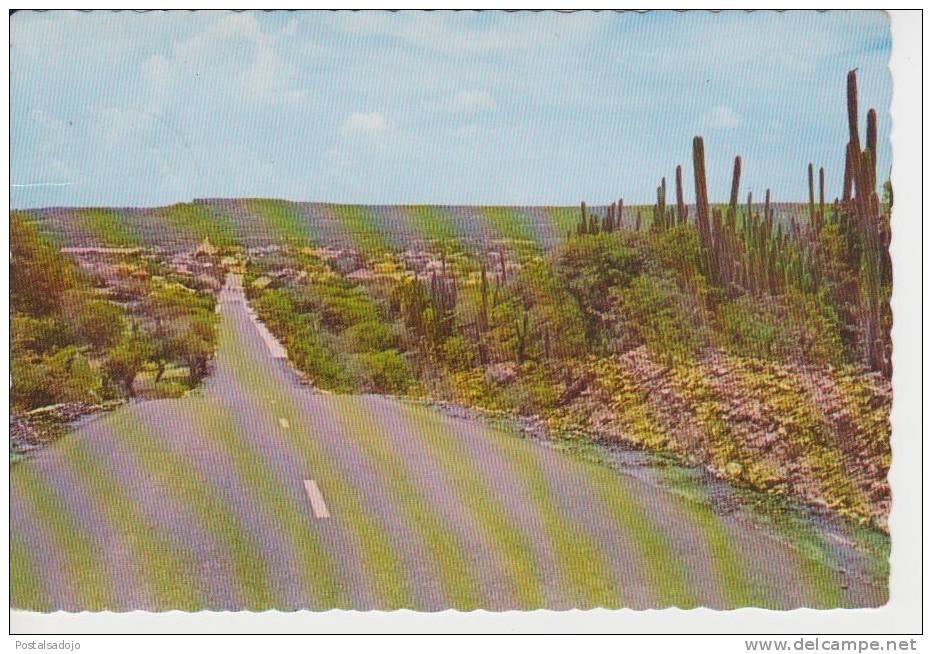 (BAL65) BONAIRE. ROAD TO RINCON - Bonaire