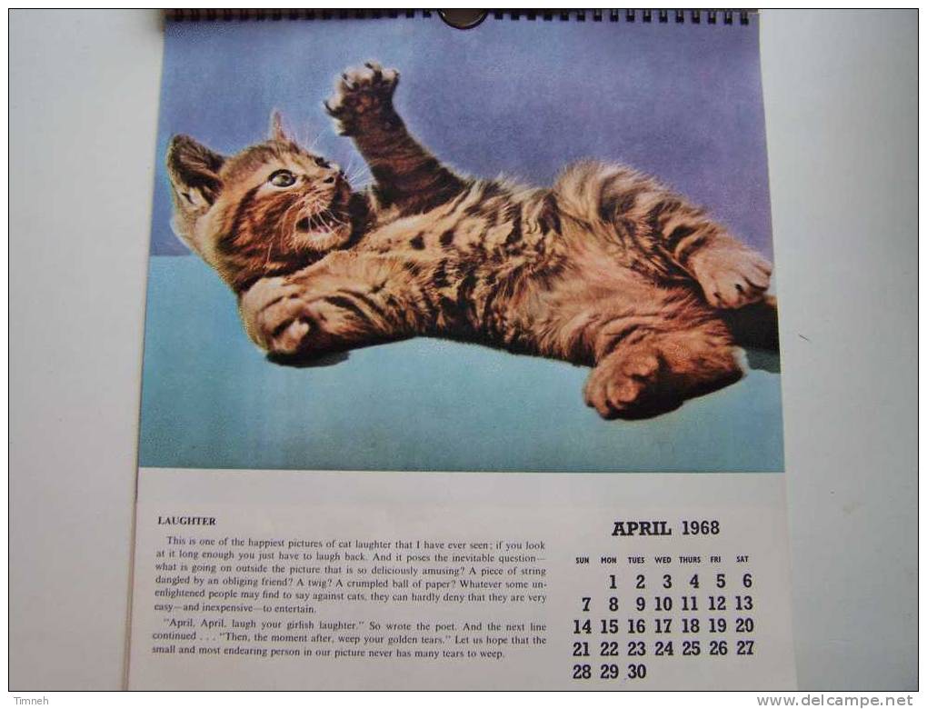 Anglais CAT CALENDAR FOR 1968 Berverley Nichols HUTSON BROS LTD à Spirale Calendrier CHATS En Anglais- - Grand Format : 1961-70