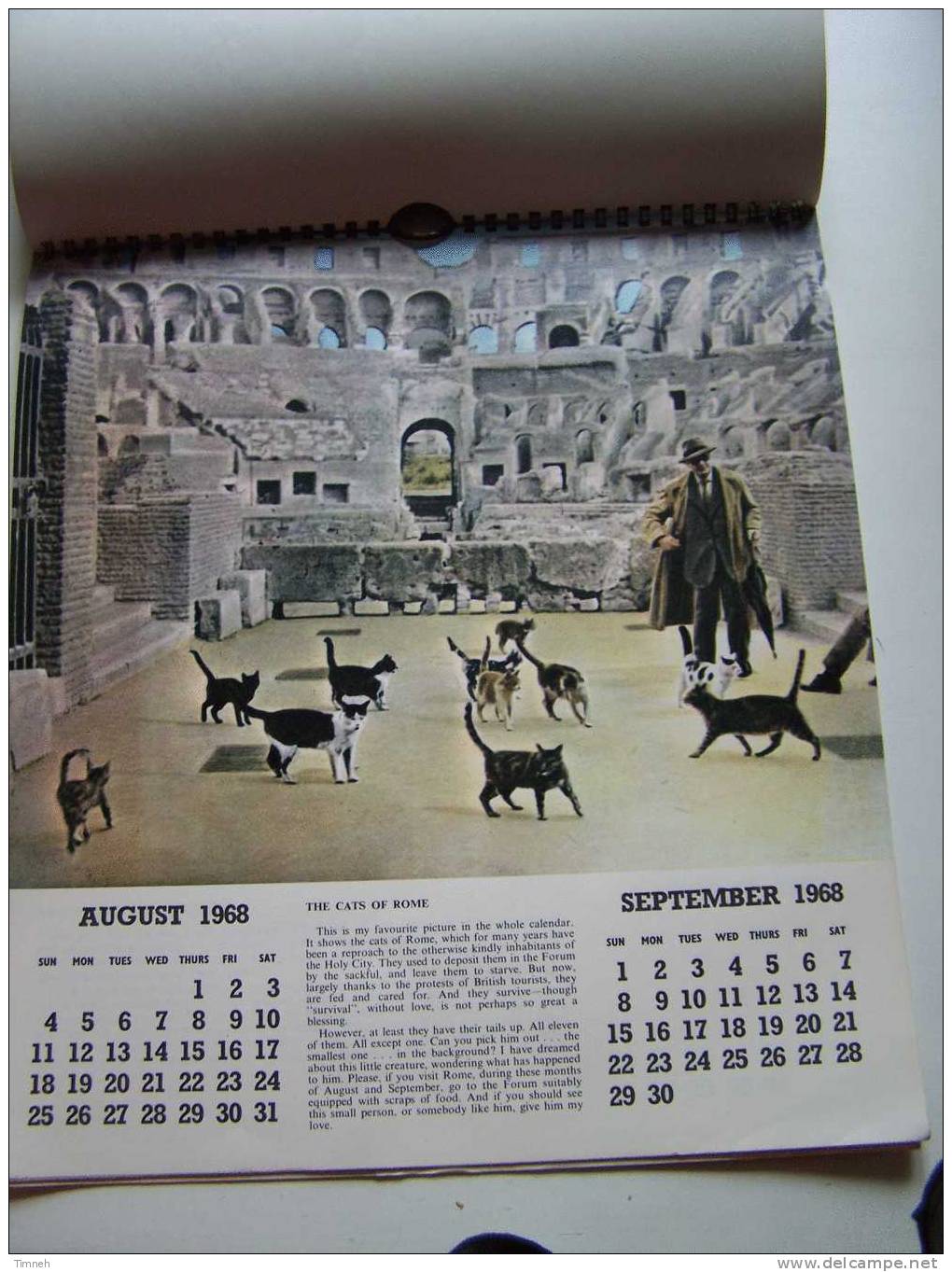 Anglais CAT CALENDAR FOR 1968 Berverley Nichols HUTSON BROS LTD à Spirale Calendrier CHATS En Anglais- - Big : 1961-70