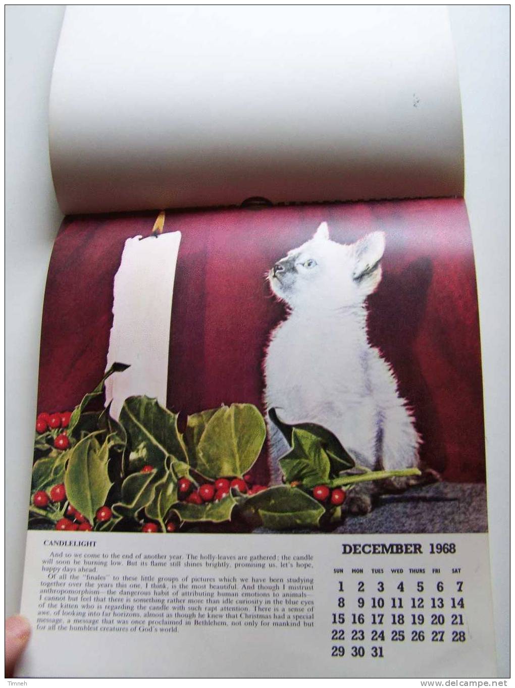 Anglais CAT CALENDAR FOR 1968 Berverley Nichols HUTSON BROS LTD à Spirale Calendrier CHATS En Anglais- - Tamaño Grande : 1961-70