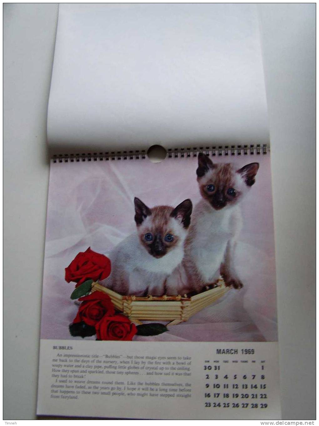 Anglais CAT CALENDAR FOR 1969 Berverley Nichols HUTSON BROS LTD à Spirale Calendrier CHATS En Anglais- - Grand Format : 1961-70