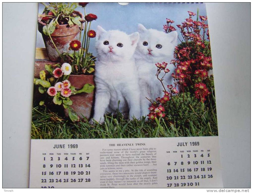 Anglais CAT CALENDAR FOR 1969 Berverley Nichols HUTSON BROS LTD à Spirale Calendrier CHATS En Anglais- - Groot Formaat: 1961-70