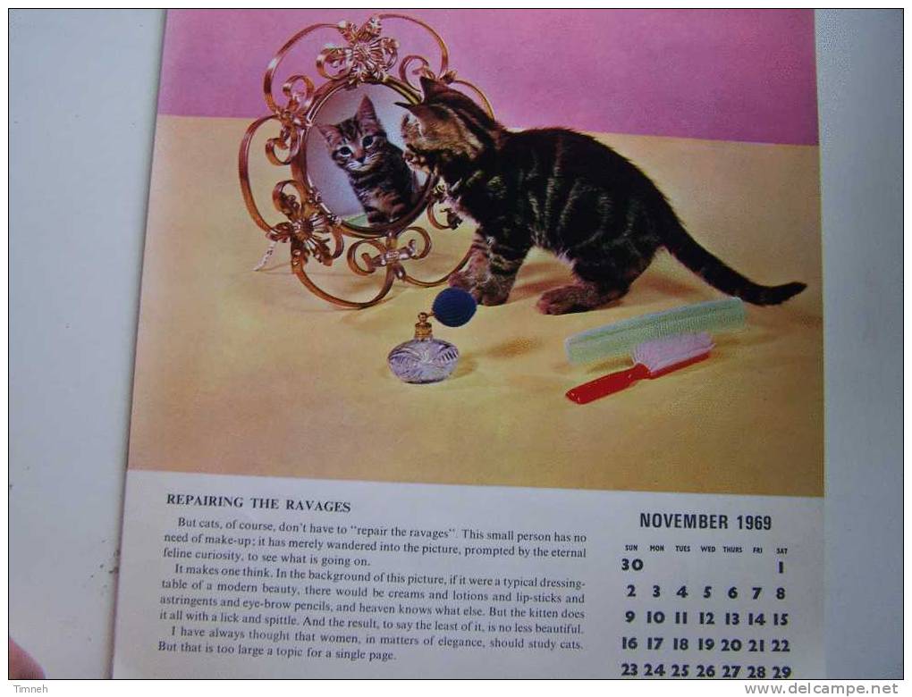 Anglais CAT CALENDAR FOR 1969 Berverley Nichols HUTSON BROS LTD à Spirale Calendrier CHATS En Anglais- - Groot Formaat: 1961-70