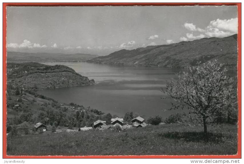 C534, Krattigen Am Thunersee ,31526 , Circulée 1967 - Krattigen