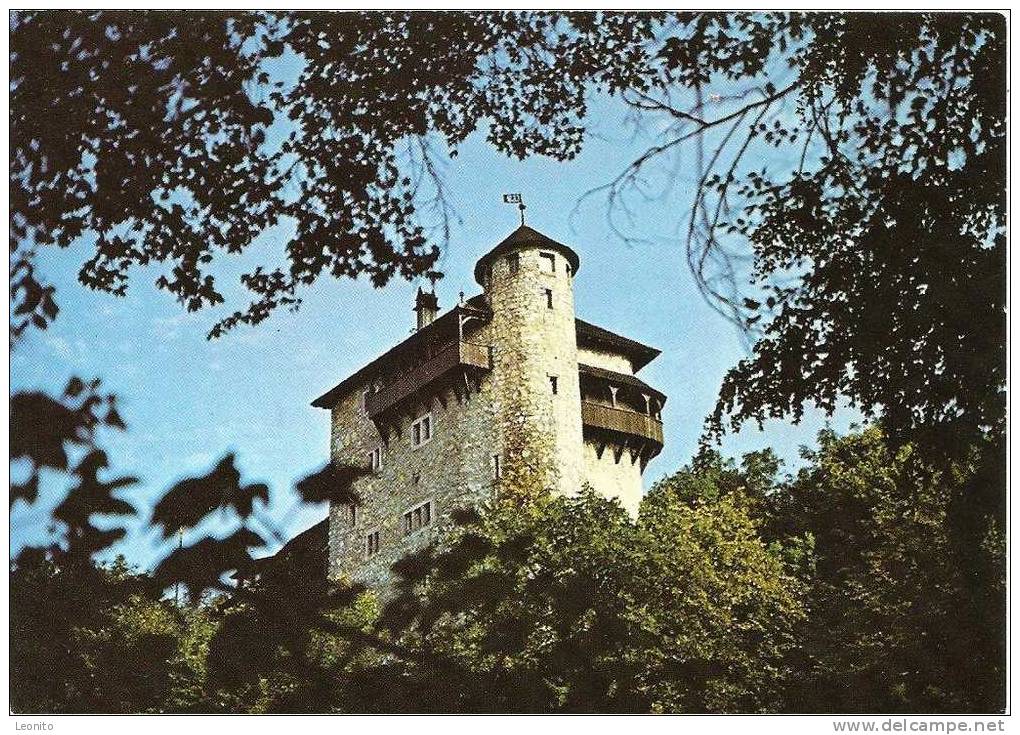 Jugendburg Jugendherberge Rotberg Mariastein SO 1992 - Metzerlen-Mariastein