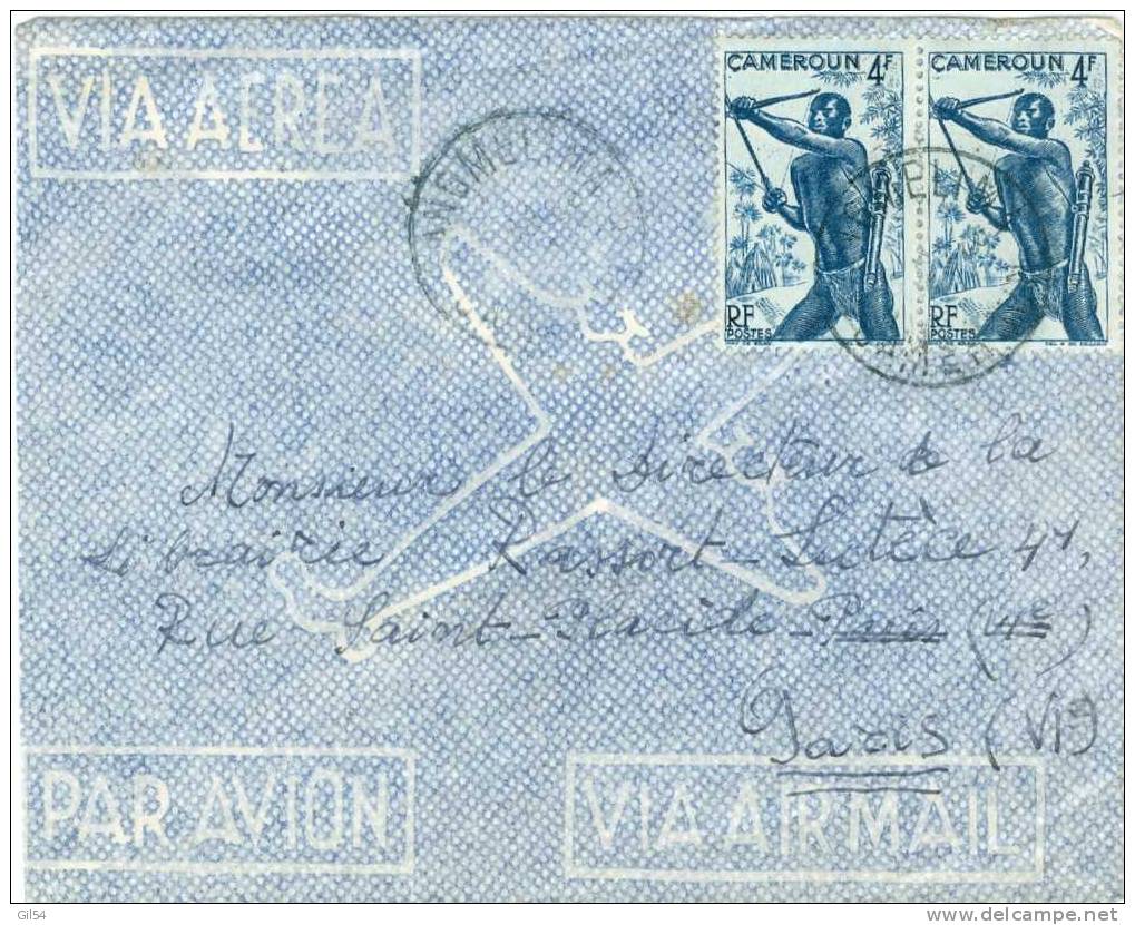 Dallay N° 251 X 2 Sur Lettre De Angmelima Pour Paris En 1949  - Po314n - Covers & Documents