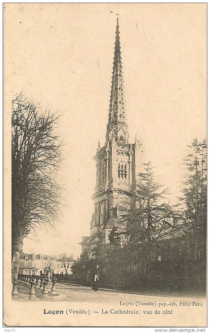 LUÇON       La Cathédrale Vue De Côté  (coin Sup G Plié) - Lucon