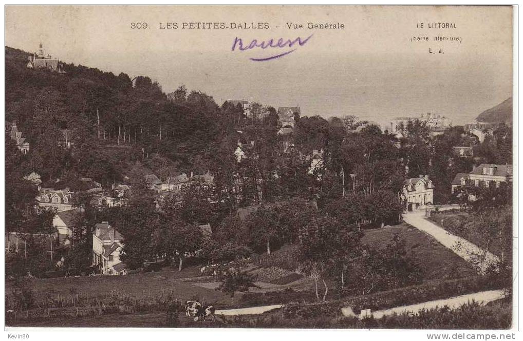 76 LES PETITES DALLES Vue Générale - Montdidier