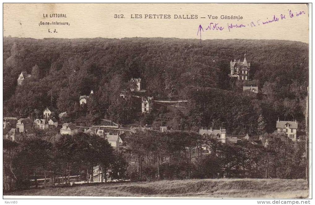 76 LES PETITES DALLES Vue Générale - Montdidier