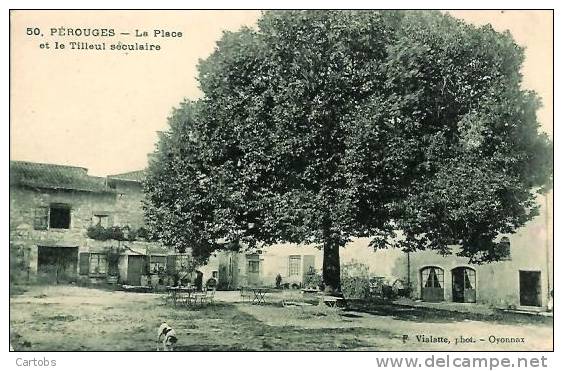 01 PEROUGES La Place Et Le Tilleul Séculaire - Pérouges