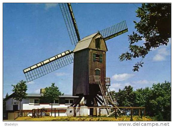 WESTOUTER (W.Vl.) - Molen/moulin - Oudere Kleurenkaart Van De Lijstermolen Op De Rodeberg - Heuvelland