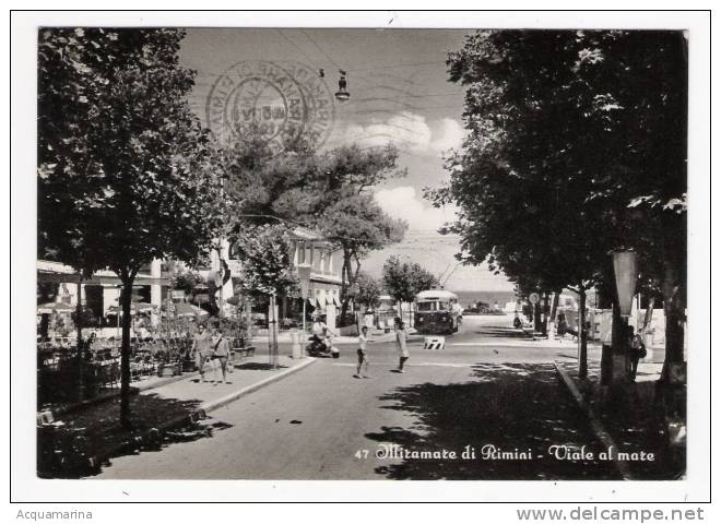 MIRAMARE DI RIMINI - Viale Al Mare, Tram - Cartolina FG V 1960 - Altri & Non Classificati