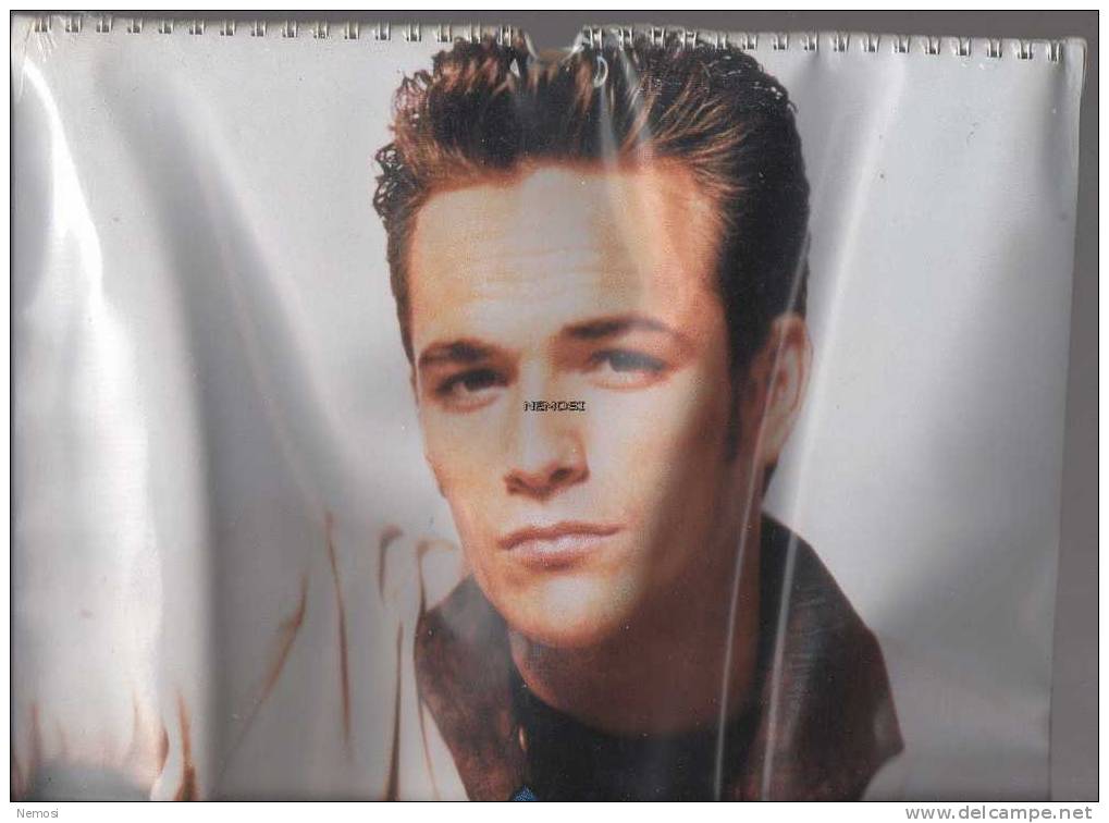 CALENDRIER - 1997 - Luke PERRY - 12 Posters - Objets Dérivés