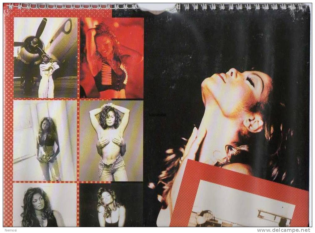 CALENDRIER - 1996 - Janet JACKSON - 12 Posters - Objets Dérivés