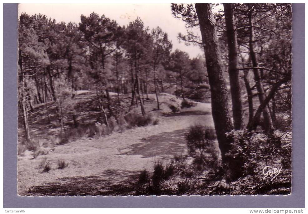 44 - Saint-Brévin L'Océan - La Forêt - Saint-Brevin-l'Océan