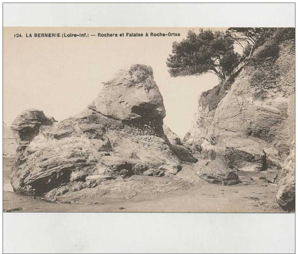 Cp , 44 , LA BERNERIE , Rochers Et Falaise à Roche-Grise - La Bernerie-en-Retz