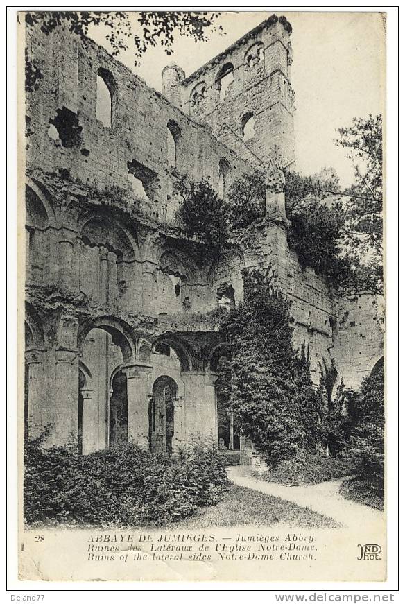 ABBAYE DE JUMIEGES - Ruines Des Latéraux De L'Eglise Notre-Dame - Jumieges