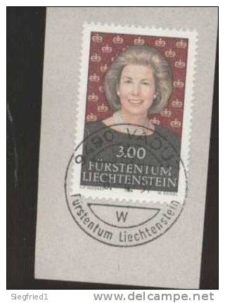 Liechtenstein Gestempelt Briefstücke 1024 Fürstin - Oblitérés